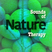 Relaxing and Healing Sounds of Nature - Sounds of Nature: Therapy