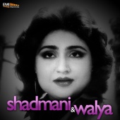 Wajahat Atre - Shadmani / Walya