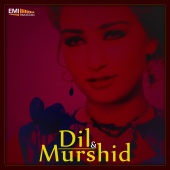 M.Ashraf & M.Arshad - Dil / Murshid