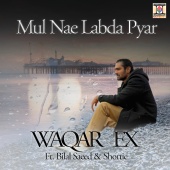 Waqar Ex - Mul Nae Labda Pyar