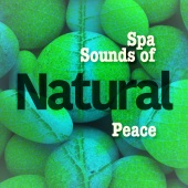 Nature Spa - Spa Sounds of Natural Peace