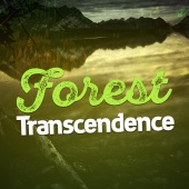 Meditate to Sounds of Nature - Forest Transcendence