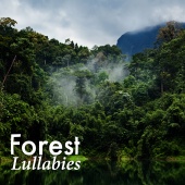 Deep Sleep Nature Sounds - Forest Lullabies