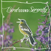 Calm Bird Sounds - Bird Sound Serenity