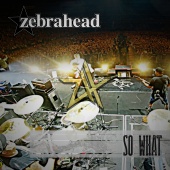 Zebrahead - So What