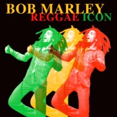 Bob Marley - Reggae Icon
