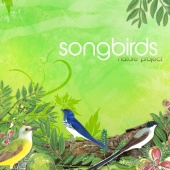 Nature Project - Songbirds