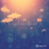 Crushed Stars - Flowerbomb (Single)