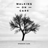 Walking On Cars - Speeding Cars [Acoustic Version]