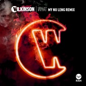 Wilkinson - What [My Nu Leng Remix]