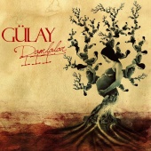Gülay - Damlalar, Vol. 3