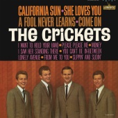 The Crickets - California Sun - She Loves You