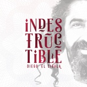 Diego El Cigala - Indestructible