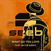 SeeB - What Do You Love (feat. Jacob Banks)