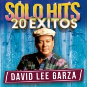 David Lee Garza - Sólo Hits [20 Éxitos]