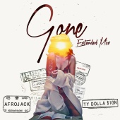 Afrojack - Gone (Extended Mix)