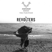 The Revolters - Flax Borage - Partapart Remixed