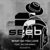 SeeB - What Do You Love (feat. Jacob Banks) [Acoustic]