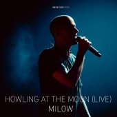 Milow - Howling At The Moon [Live In Vienna]