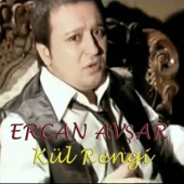 Ercan Avşar - Kül Rengi