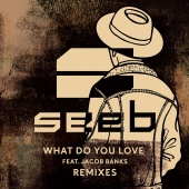 SeeB - What Do You Love [Remixes]