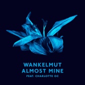 Wankelmut - Almost Mine (Radio Edit)