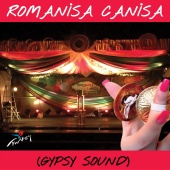 Atilla Yılmaz - Romanisa Canisa Gypsy Sound