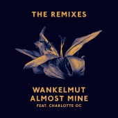 Wankelmut - Almost Mine (The Remixes)