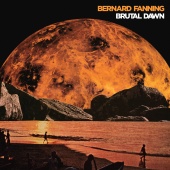 Bernard Fanning - Isn?t It A Pity