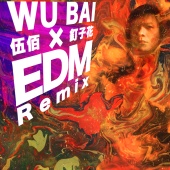 Bai Wu - Ding Zi Hua [EDM Remix]