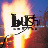 Bush - Razorblade Suitcase [Remastered]