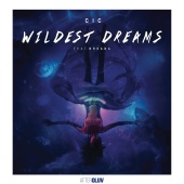 CIC - Wildest Dreams (feat. Breana) [Radio Edit]