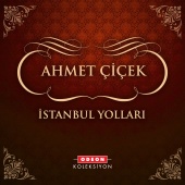 Ahmet Çiçek - İstanbul Yolları