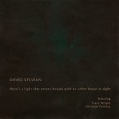 David Sylvian - There's A Light That Enters Houses With No Other House In Sight (feat. Franz Wright, Christian Fennesz)