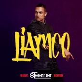 LIAMOO - Burn [Steerner Remix]