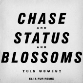 Chase & Status And Blossoms - This Moment [Eli & Fur Remix]