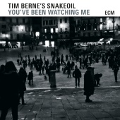 Tim Berne's Snakeoil - You've Been Watching Me