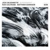 Jack DeJohnette & Ravi Coltrane & Matt Garrison - In Movement
