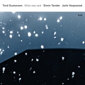 Tord Gustavsen & Simin Tander & Jarle Vespestad - What Was Said