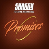 Shaggy - Promises