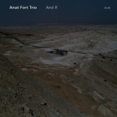 Anat Fort Trio - And If