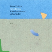 Peter Erskine & Palle Danielsson & John Taylor - Time Being