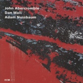 John Abercrombie & Dan Wall & Adam Nussbaum - While We're Young