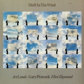 Gary Peacock & Art Lande & Eliot Zigmund - Shift In The Wind