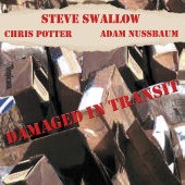 Steve Swallow & Chris Potter & Adam Nussbaum - Damaged In Transit