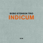Bobo Stenson Trio - Indicum