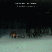 Lucian Ban & Mat Maneri - Transylvanian Concert [Live In Târgu Mureș, Romania / 2011]