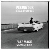 Peking Duk - Fake Magic (Gigamesh Remix)