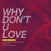 Vintage Culture - Why Don't U Love (Remixes)