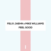 Felix Jaehn & Mike Williams - Feel Good